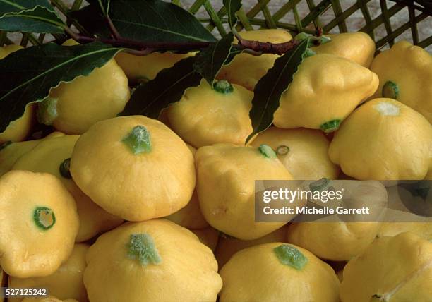 yellow patty pan squashes - pattypan squash stock pictures, royalty-free photos & images