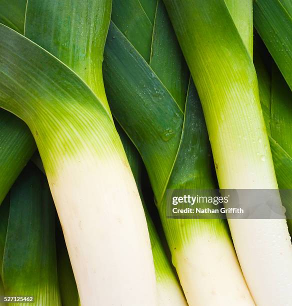 organic leeks - alho francês imagens e fotografias de stock