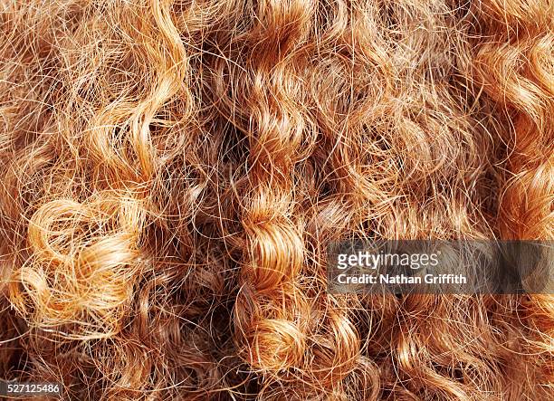 woman's bright red locks of hair from behind - curly hair imagens e fotografias de stock
