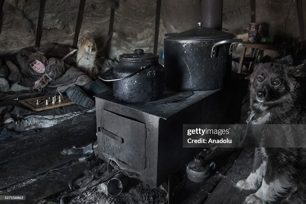 A day in the Life of Reindeer Herders of Russia