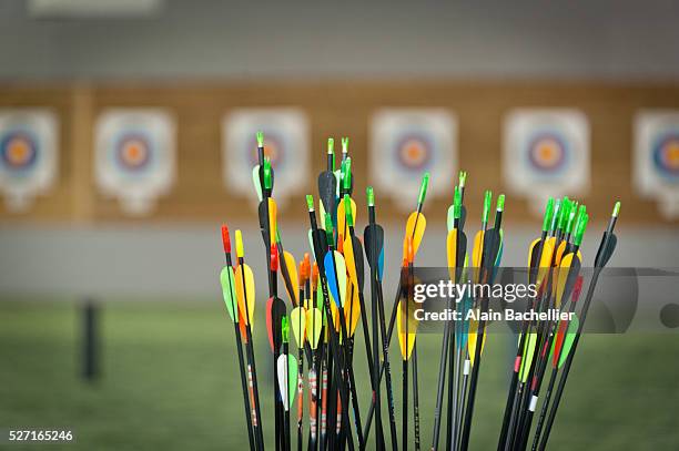 Target Arching 209 Arch Target Stock Photos, High-Res Pictures, and Images - Getty Images