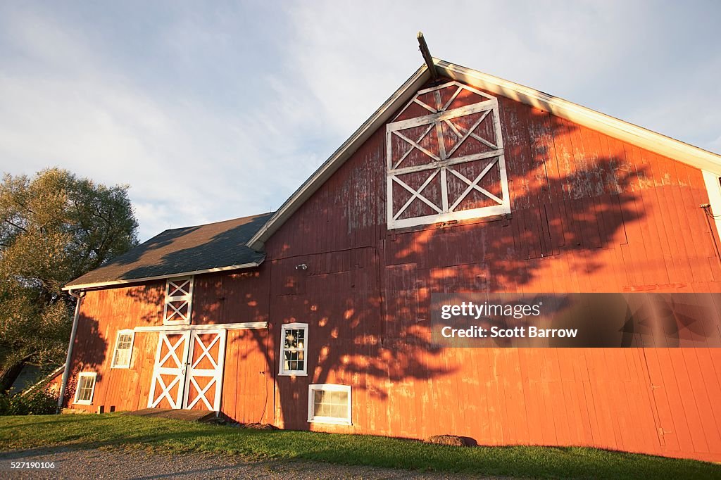 Shadow of a tree on a barn