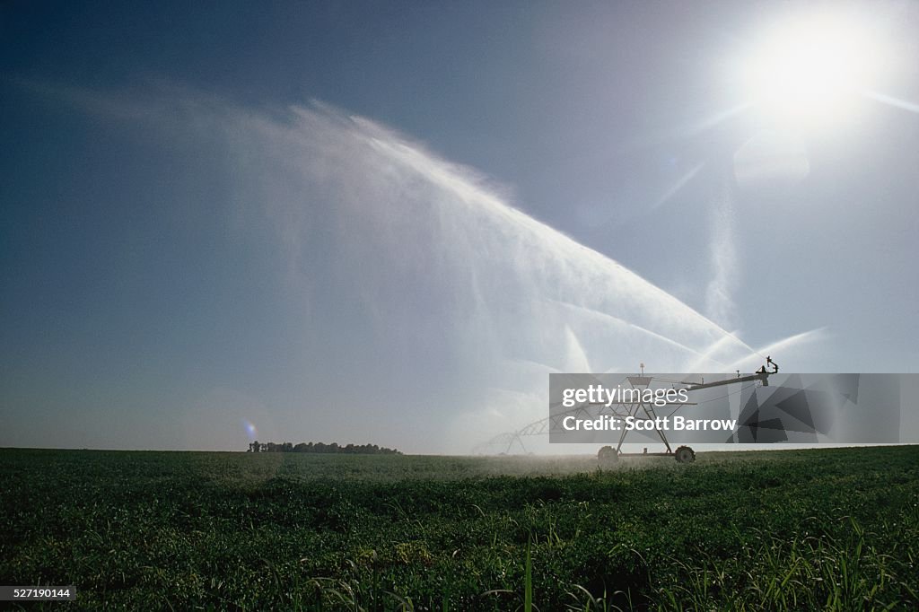 Irrigating a field