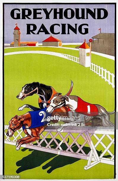 Greyhound Racing Poster