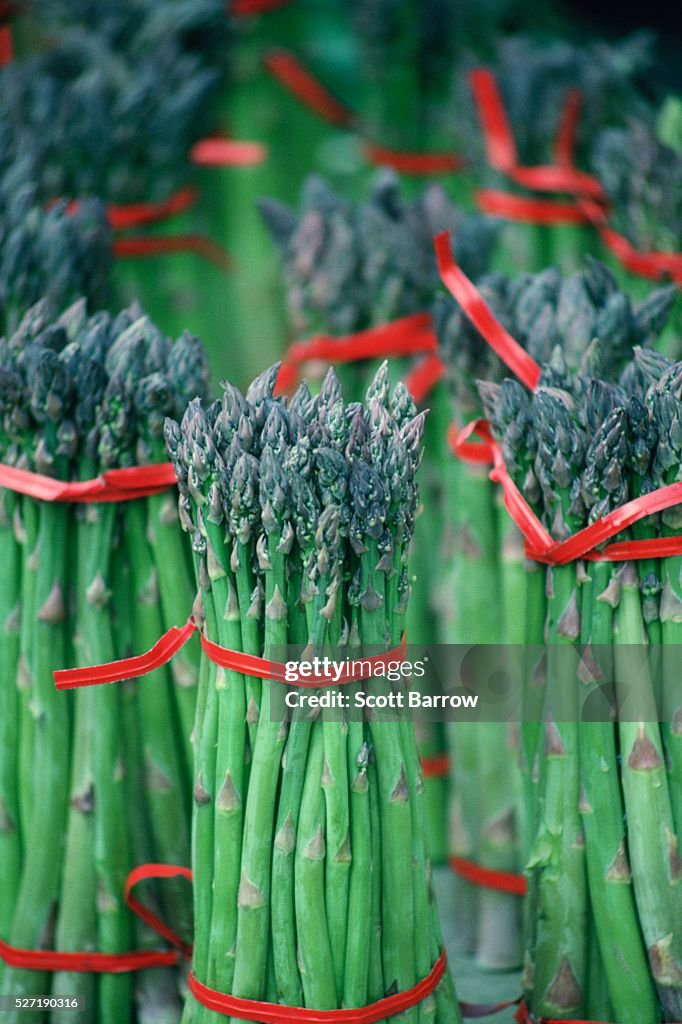 Bundles of asparagus