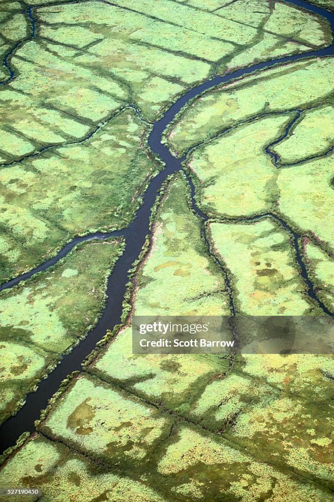 Aerial view of a river