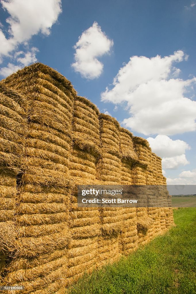 Stack of hay bales
