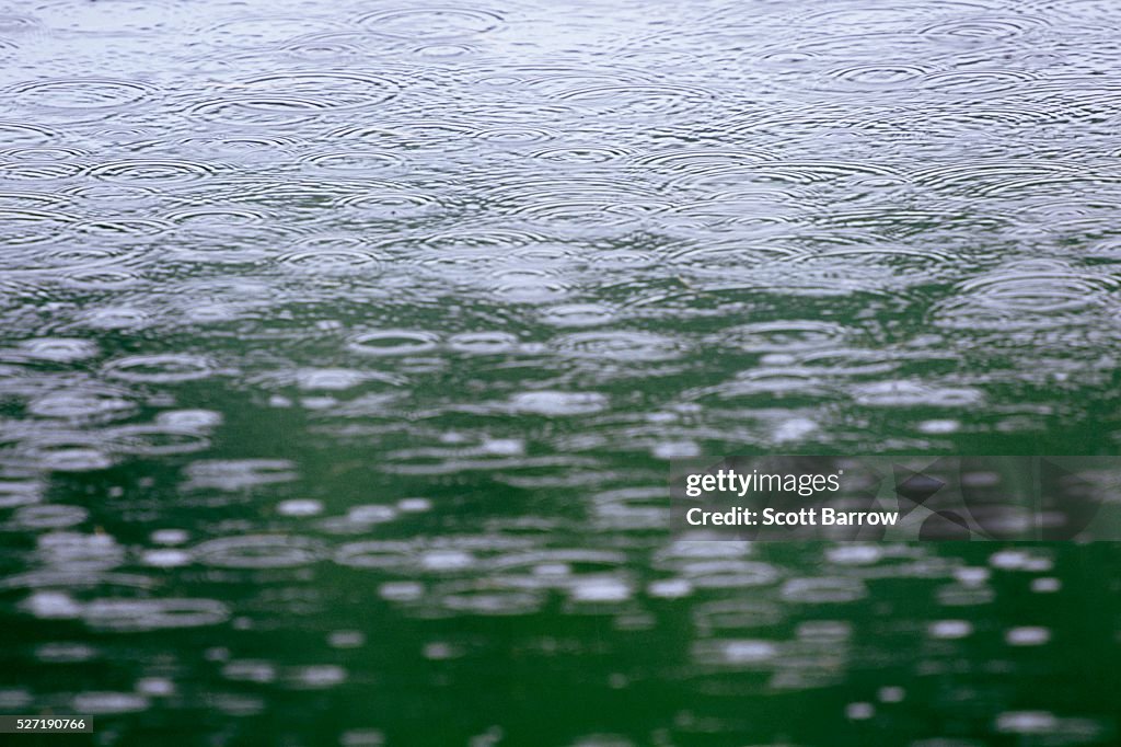 Rain falling on water