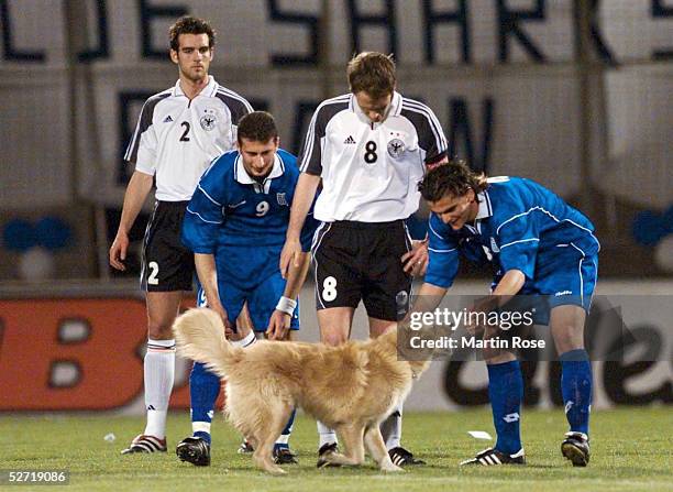 Athen; GRIECHENLAND 0 ; Ein Hund rannte auf das Feld und unterbrach das Spiel; v.lks.: Christoph METZELDER/GRE, Dimitris PAPADOPUUS/GRE, Fabian...