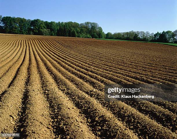 ploughed field, baden-wuerttemberg, germany - champs sillons photos et images de collection