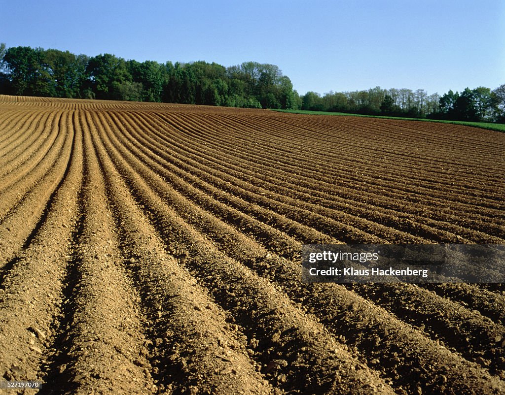 Ploughed field, Baden-Wuerttemberg, Germany