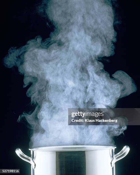 steam rising from cooking pot - boiling pan ストックフォトと画像