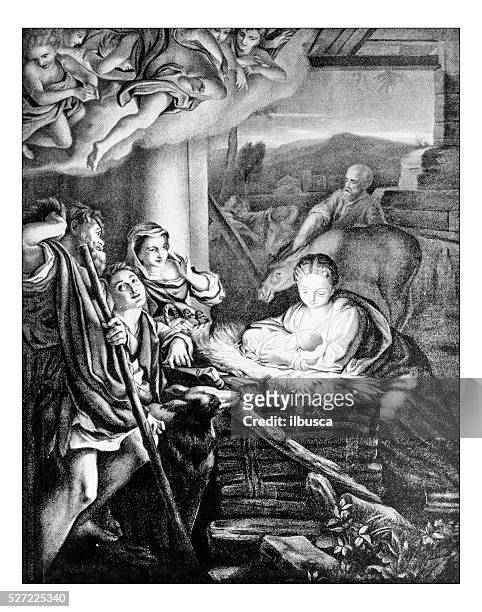 ilustraciones, imágenes clip art, dibujos animados e iconos de stock de anticuario fotografía de natividad pintado por antonio da correggio - saint joseph