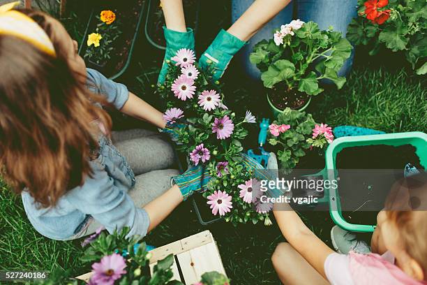 familia plantando flores juntos. - grounds fotografías e imágenes de stock