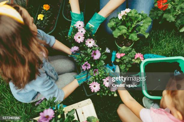 famiglia piantare fiori insieme. - gardening foto e immagini stock