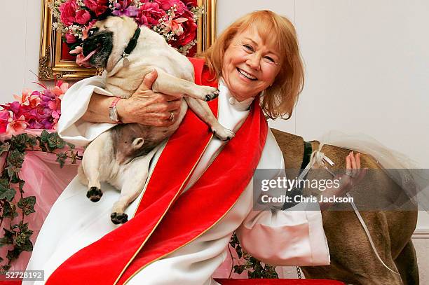 Reverend Charlotte Richards attempts to bless a female great dane and a male pug at Selfridge's Little White Wedding Chapel, Oxford Street on April...