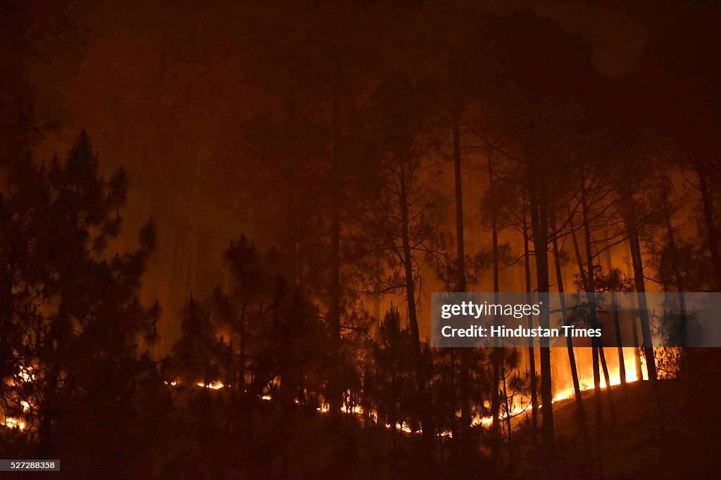 Uttarakhand Forest Fires