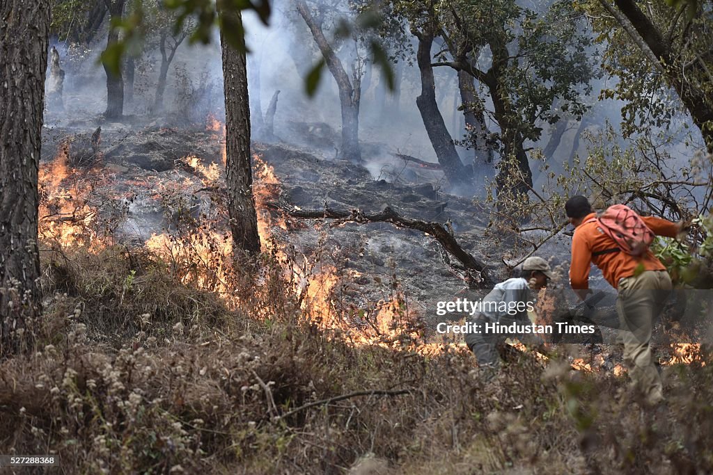 Uttarakhand Forest Fires