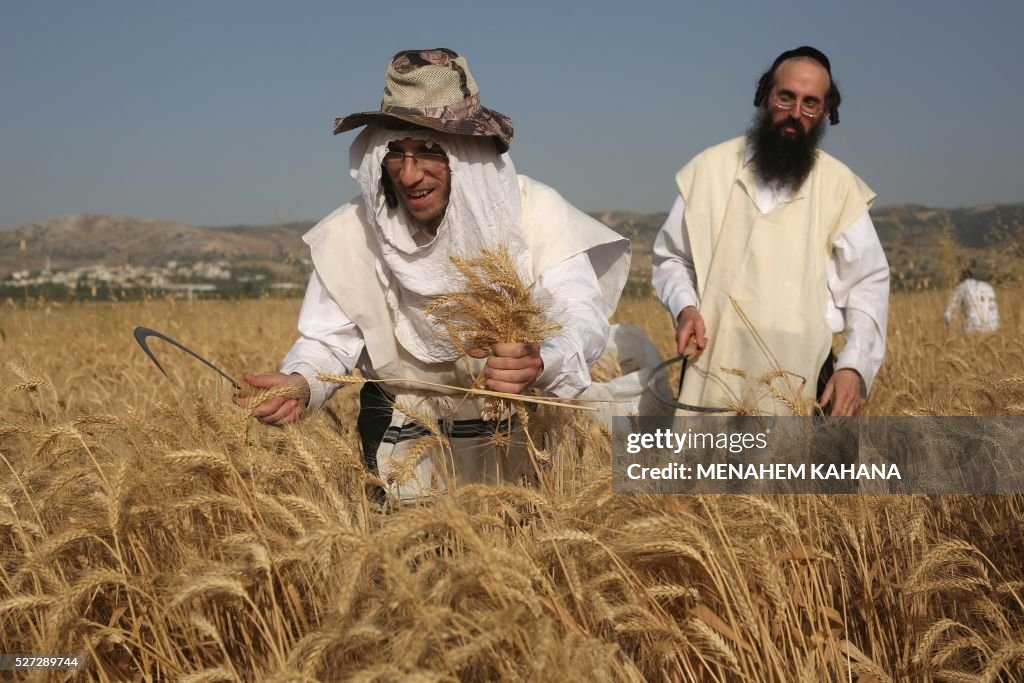 PALESTINIAN-ISRAEL-RELIGION-JUDAISM-PASSOVER