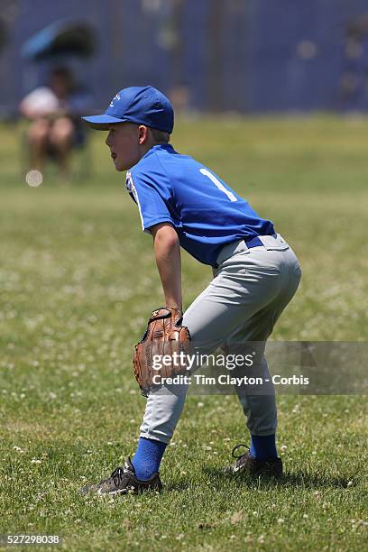 Young baseball player fielding in the outfield during the Norwalk Little League baseball competition at Broad River Fields, Norwalk, Connecticut....