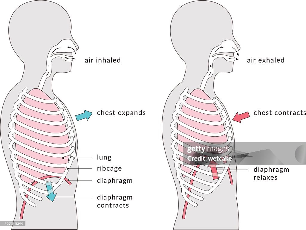 Schéma de respiration