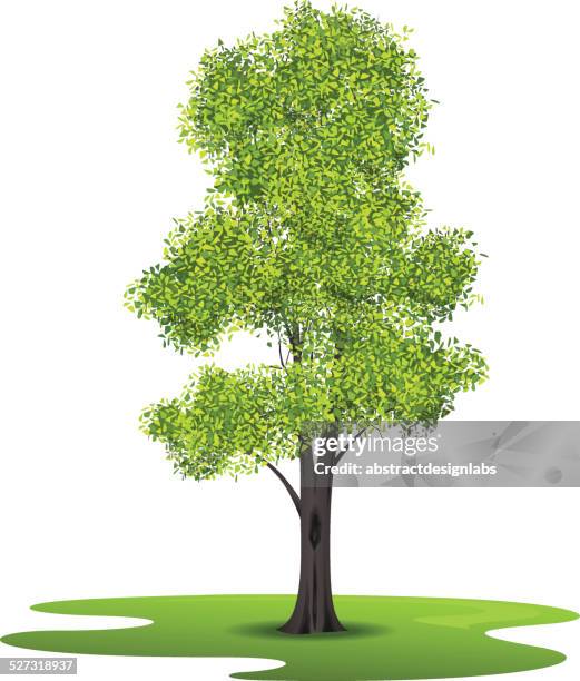 ash - one man only stock illustrations stock-grafiken, -clipart, -cartoons und -symbole