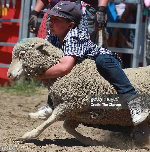 207 Wanaka Children Stock Photos, High-Res Pictures, and Images - Getty ...