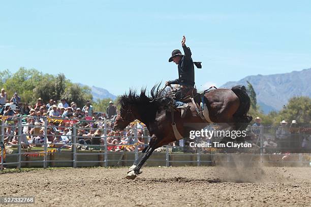 Saddle Island Photos and Premium High Res Pictures - Getty Images