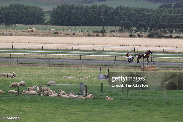 Winton Rodeo 184 Winton New Zealand Stock Photos, High-Res Pictures, and Images ...
