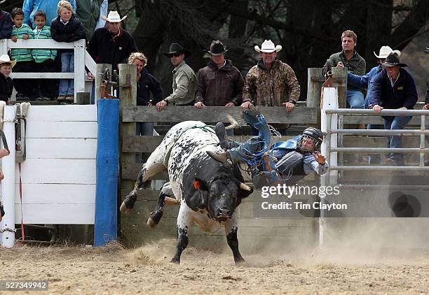 Open Bulls Rodeo Open Bull Riding Photos and Premium High Res Pictures - Getty Images