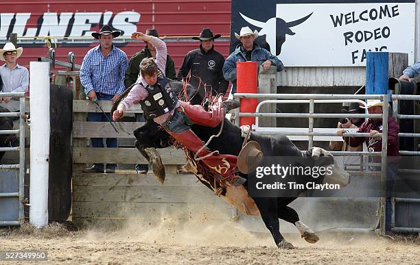 Winton Rodeo Cameron Macdonald Photos and Premium High Res Pictures - Getty Images