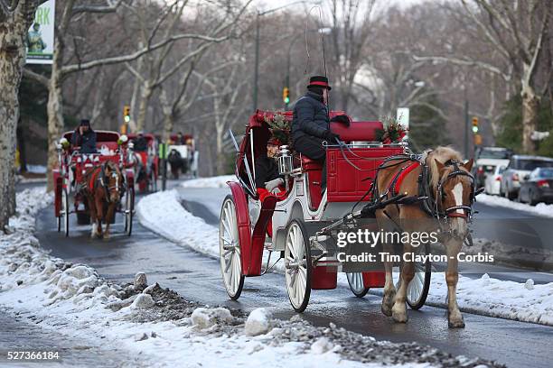 Horse drawn carriages after a snow fall in Central Park, Manhattan, New York, USA. Photo Tim Clayton