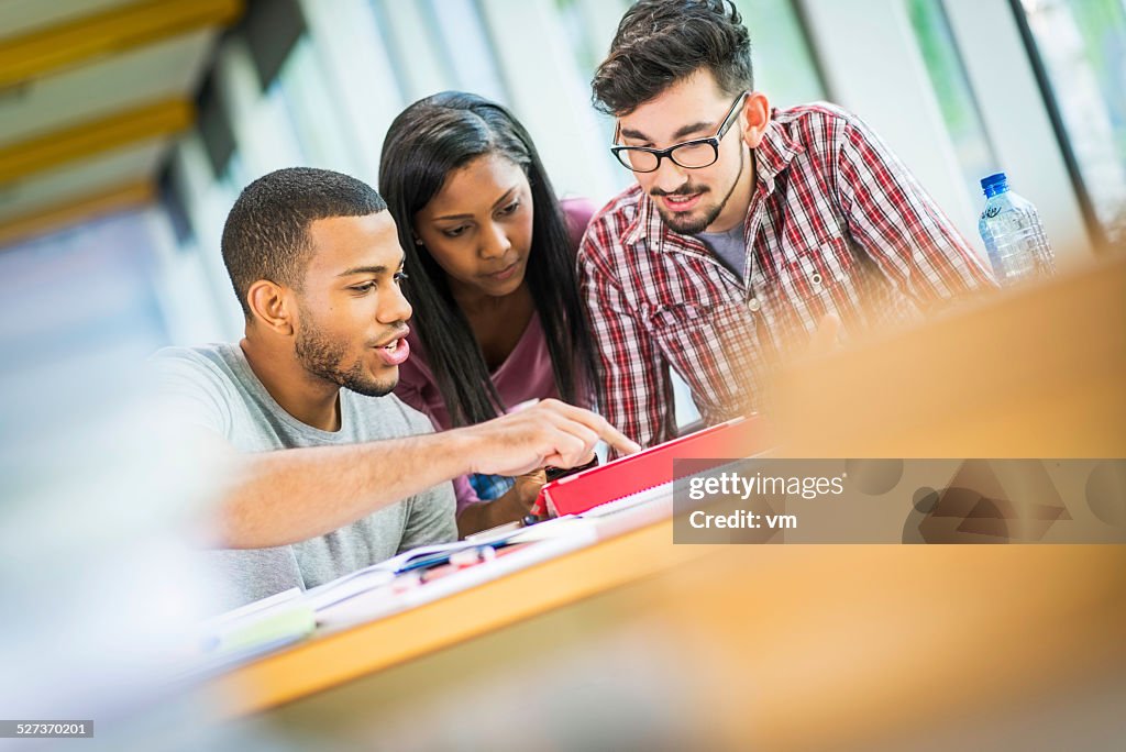 Students Studying in a Library