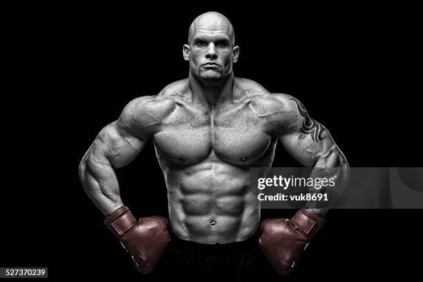 Boxer Raggy 4,783 Jagged Box Stock Photos, High-Res Pictures, and Images - Getty Images