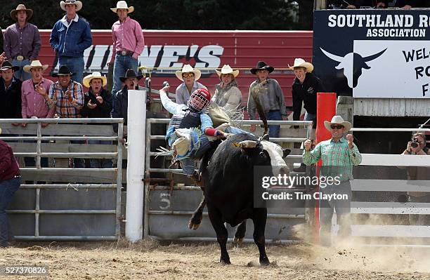 Open Bulls Rodeo Open Bull Riding Photos and Premium High Res Pictures - Getty Images