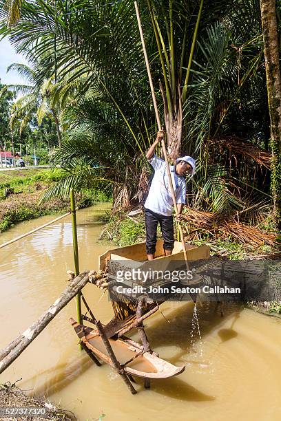 sluice for refining sago pith - mentawai islands stock pictures, royalty-free photos & images