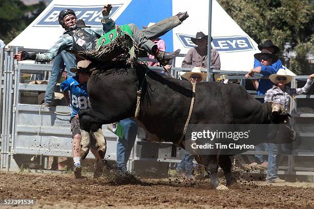 Open Bulls Rodeo 270 Open Bull Ride Stock Photos, High-Res Pictures, and Images - Getty ...