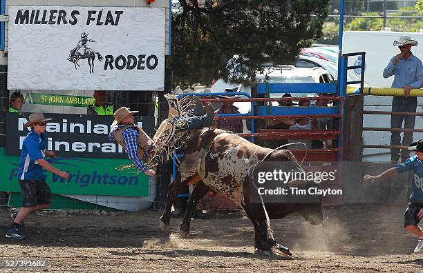 Open Bulls Rodeo Open Bull Riding Photos and Premium High Res Pictures - Getty Images