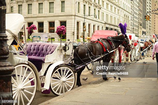 new york city horse drawn carriage - fame park stock pictures, royalty-free photos & images