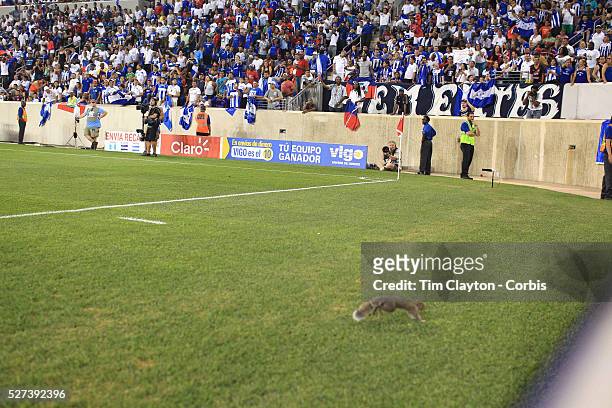 Photographer Howard Smith saves a squirrel after it appeared on the pitch during the Haiti V Honduras CONCACAF Gold Cup group B football match at Red...