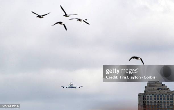 Birds take flight as the NASA space shuttle Enterprise, riding on top of a modified jumbo jet, flying at low altitude past Manhattan during it's...