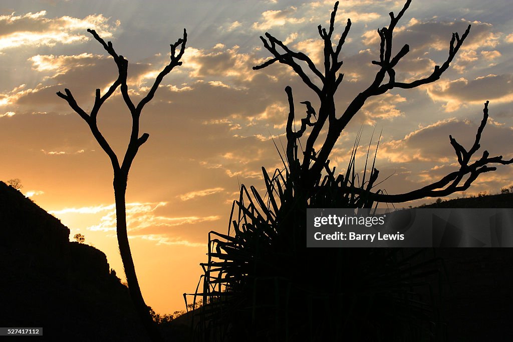 Australia - Kachana - Eco Tourism