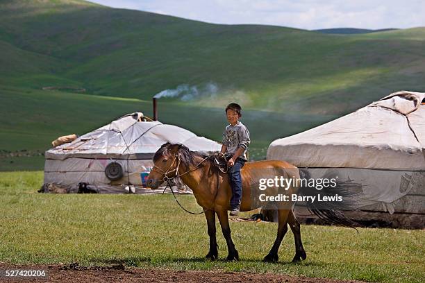 The family of Gantwag live in a traditional ger herding sheep and goats. | Location: Khui Doloon Khudag, Mongolia.