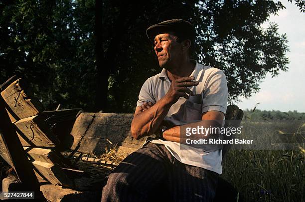 Farmer near the village of Grudziadz in Southern Poland rests on a hat cart on the edge of a corn field during harvest. It is later afternoon and the...