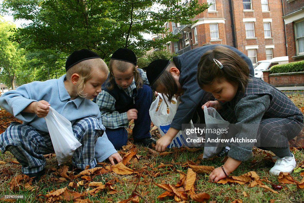 UK - London - Stamford Hill Orthodox Jewish Community - Children collecting conkers