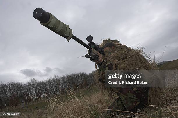 Kneeling in undergrowth, a camouflaged British infantry soldier is seen looking down the telescopic sight of the new British-made Long Range L115A3...