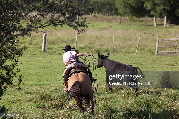 58 Gauchos Rope Stock Photos High Res Pictures and Images Getty Images 58 Gauchos Rope Stock Photos High Res Pictures and Images Getty Images