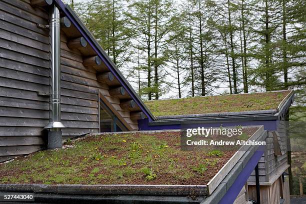 Green rooftops at the Red Kite feeding centre in Nant yr Arian, Wales