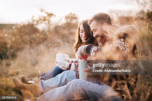picnic for two - romantic picnic stockfoto's en -beelden