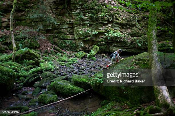 Wearing a peaked cap and small rucksack, a young adventurer, scales a giant boulder in the ancient forest of Monbachtal Bach in Germany's Black...